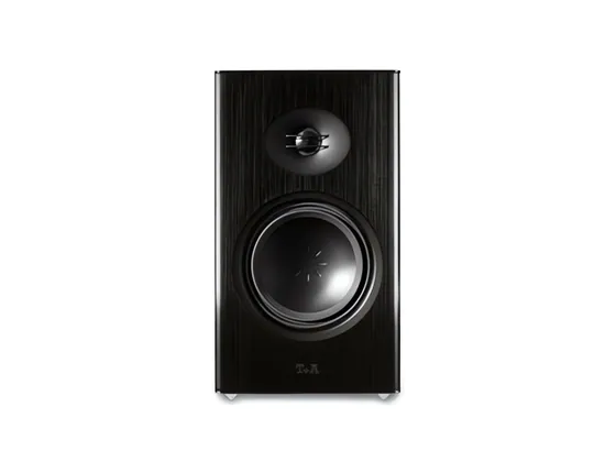 Talis R 300