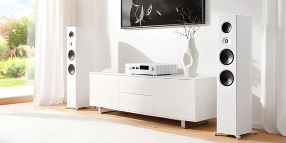 Talis S 300 – photo du fabricant